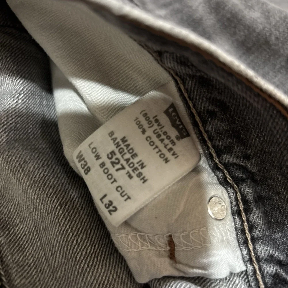 Levis levis 527